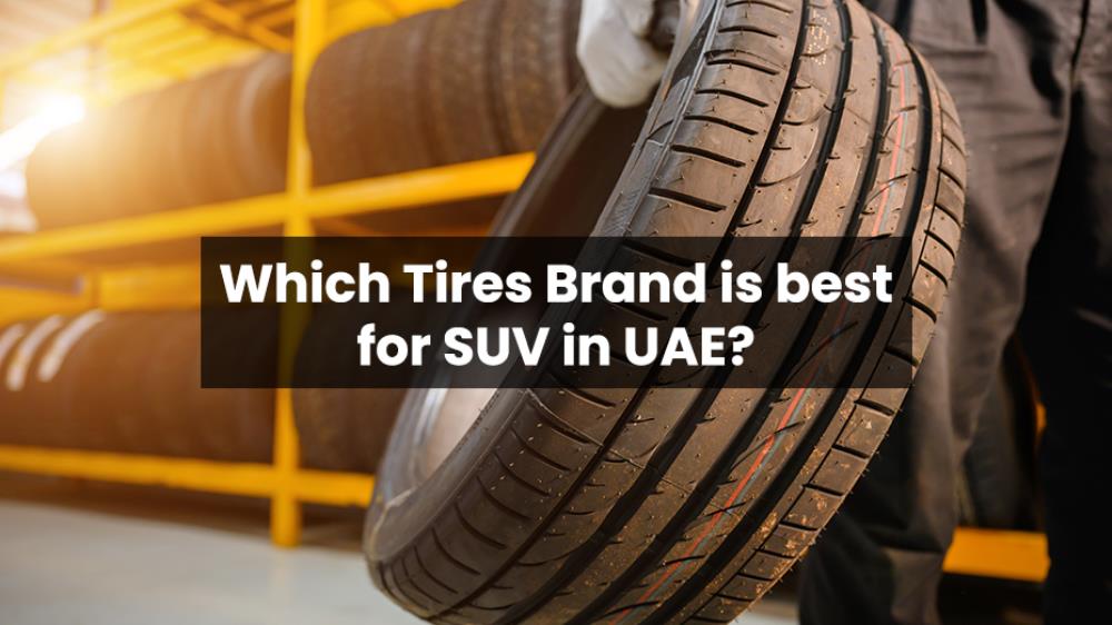 Microsoft.AspNetCore.Mvc.ViewFeatures.DynamicViewData.